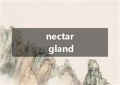 nectar gland是什么意思