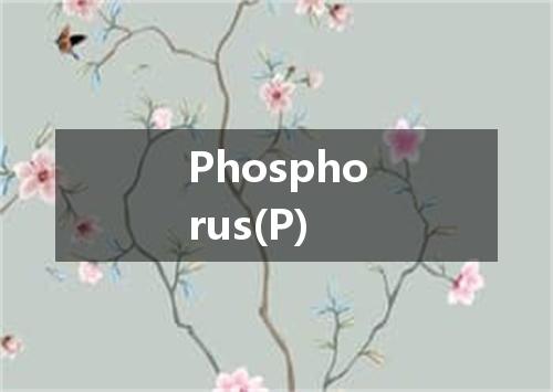 Phosphorus(P)是什么意思