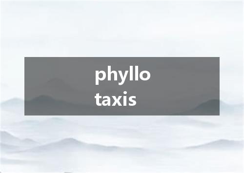phyllotaxis是什么意思