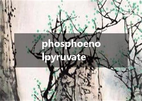 phosphoenolpyruvate是什么意思