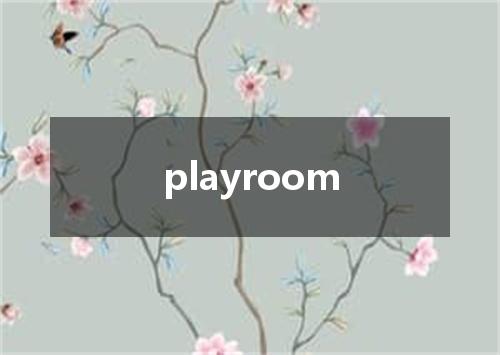 playroom是什么意思