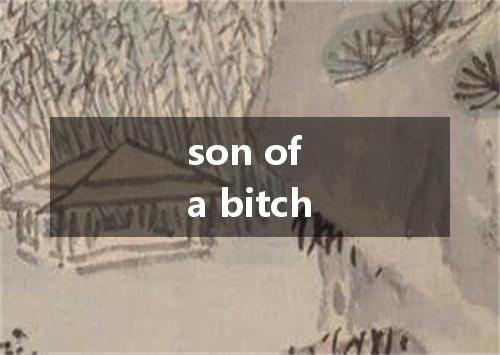 son of a bitch是什么意思