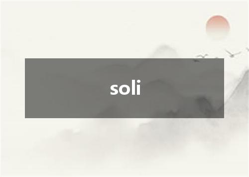 soli是什么意思