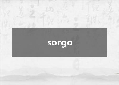 sorgo是什么意思