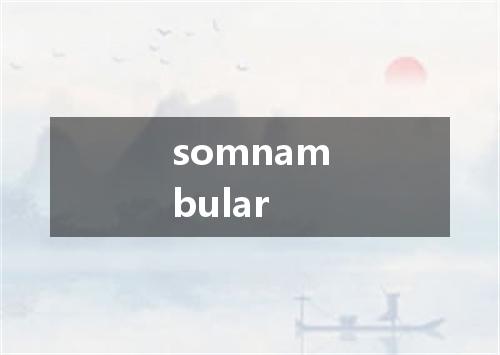 somnambular是什么意思