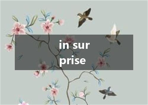 in surprise是什么意思