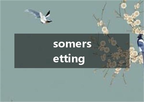 somersetting是什么意思