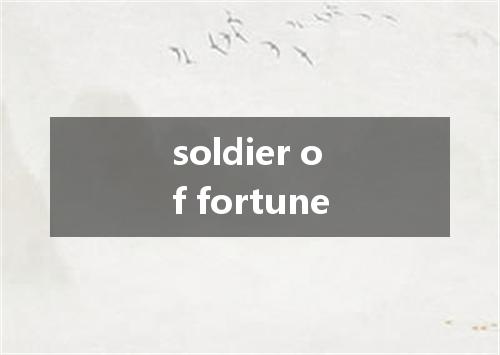 soldier of fortune是什么意思