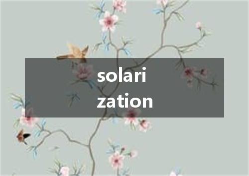 solarization是什么意思