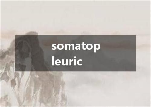 somatopleuric是什么意思
