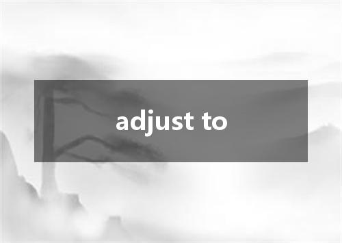 adjust to是什么意思