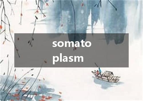 somatoplasm是什么意思