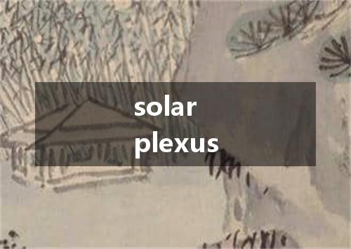 solar plexus是什么意思