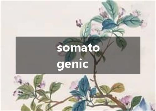 somatogenic是什么意思
