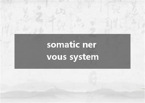 somatic nervous system是什么意思