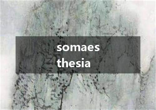 somaesthesia是什么意思