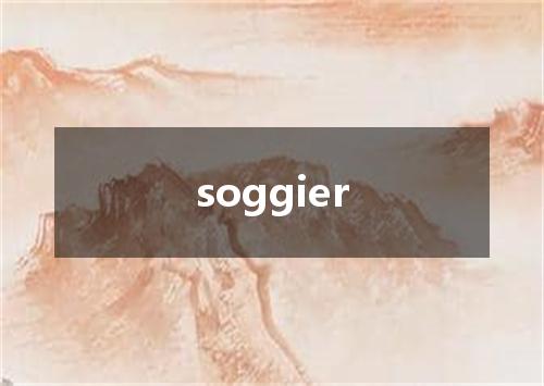 soggier是什么意思