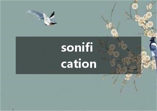 sonification是什么意思