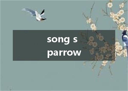 song sparrow是什么意思