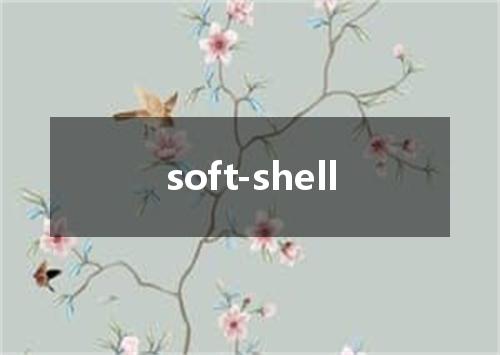 soft-shell是什么意思