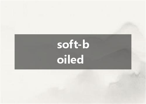 soft-boiled是什么意思