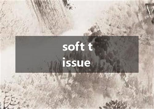 soft tissue是什么意思