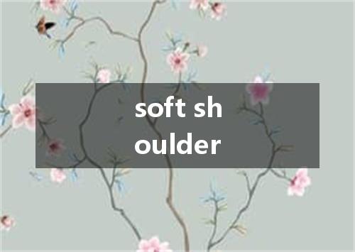 soft shoulder是什么意思
