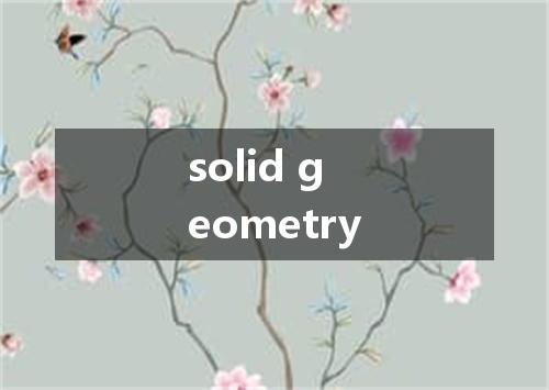 solid geometry是什么意思