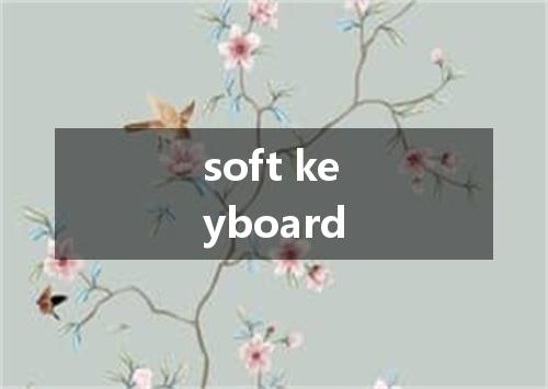 soft keyboard是什么意思
