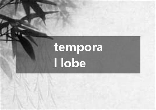 temporal lobe是什么意思
