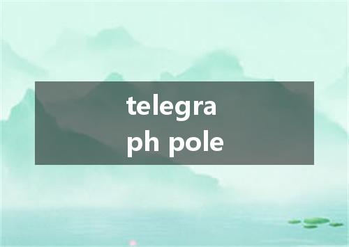 telegraph pole是什么意思