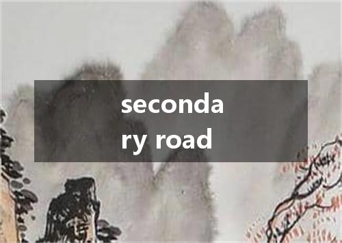 secondary road是什么意思