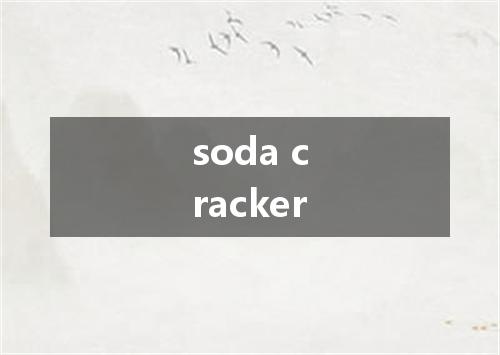 soda cracker是什么意思