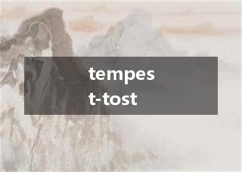 tempest-tost是什么意思