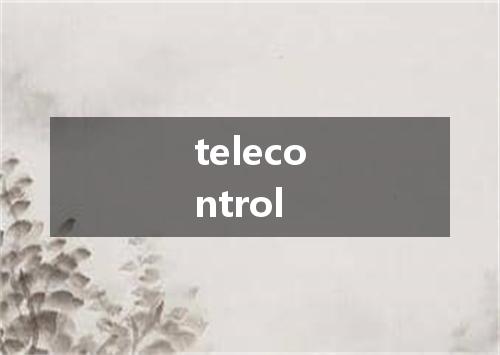 telecontrol是什么意思