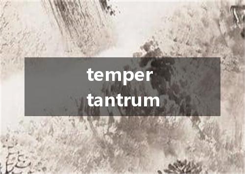 temper tantrum是什么意思