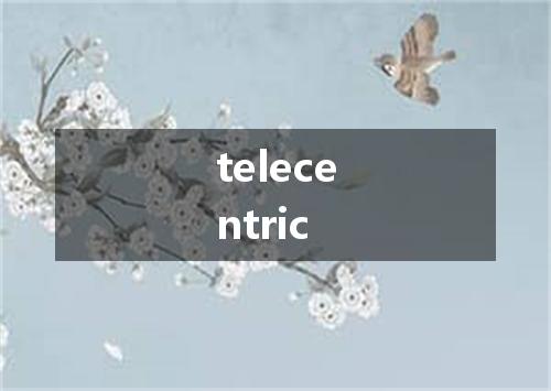 telecentric是什么意思