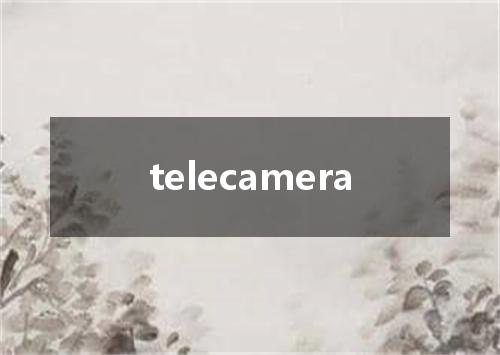 telecamera是什么意思