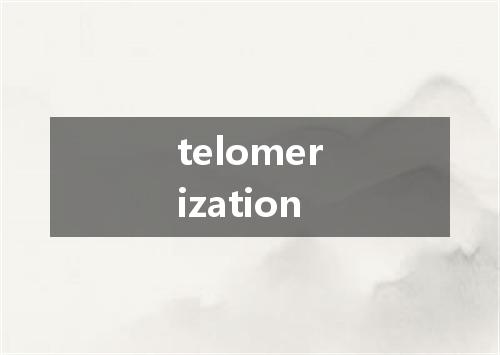 telomerization是什么意思