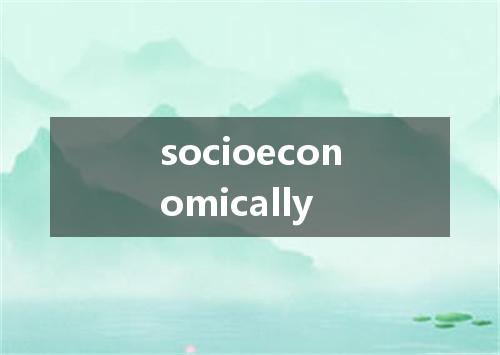 socioeconomically是什么意思