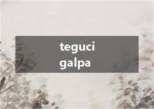 tegucigalpa是什么意思