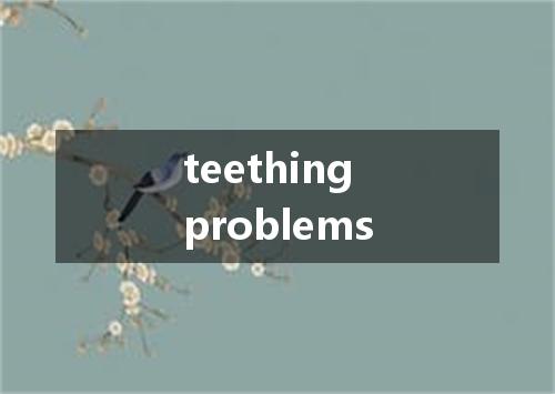 teething problems是什么意思
