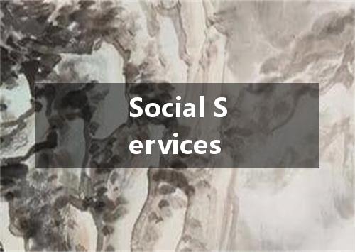 Social Services是什么意思