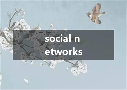 social networks是什么意思