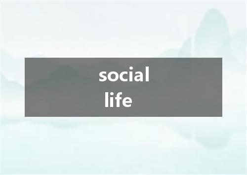 social life是什么意思