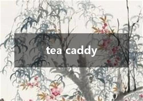 tea caddy是什么意思