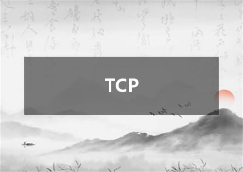 TCP是什么意思