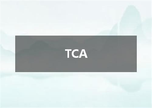 TCA是什么意思