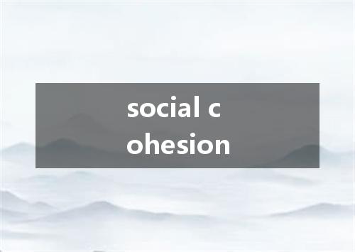 social cohesion是什么意思