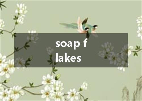 soap flakes是什么意思